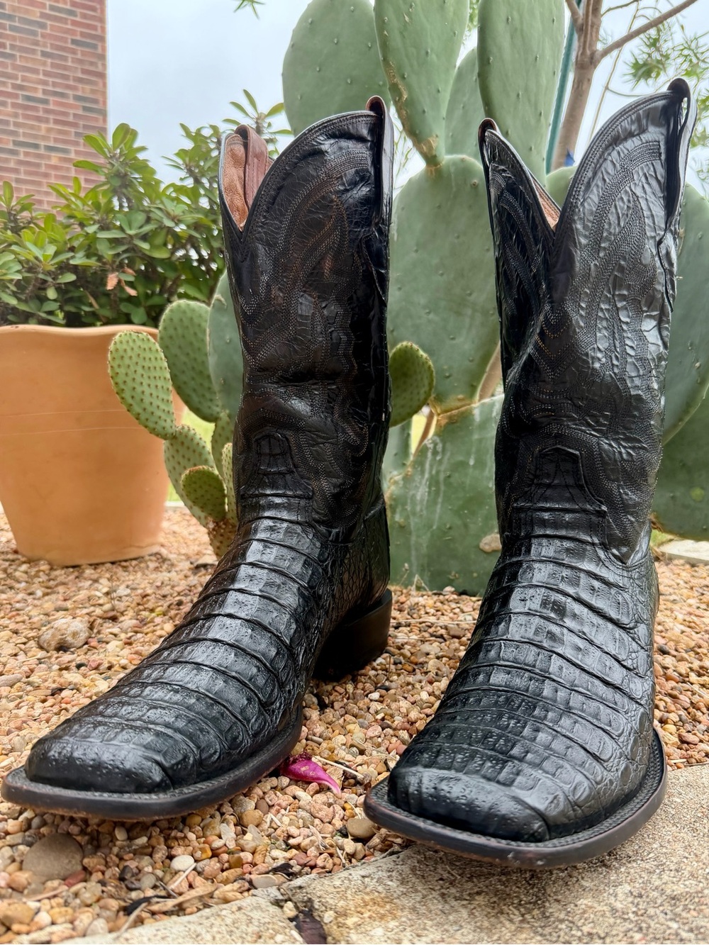 Lucchese Mens 13 B Black Caiman Crocodile Cowboy Boots Square Toe Exotic